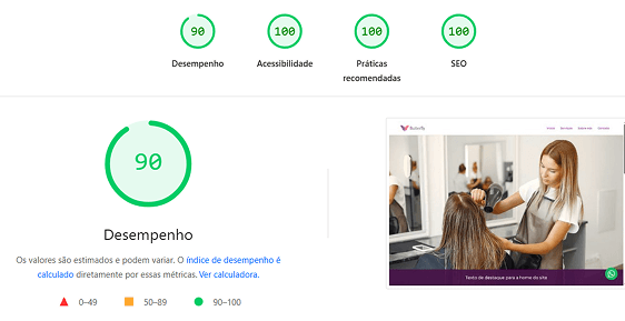 Preview do PageSpeed Insights do Google com nota máxima